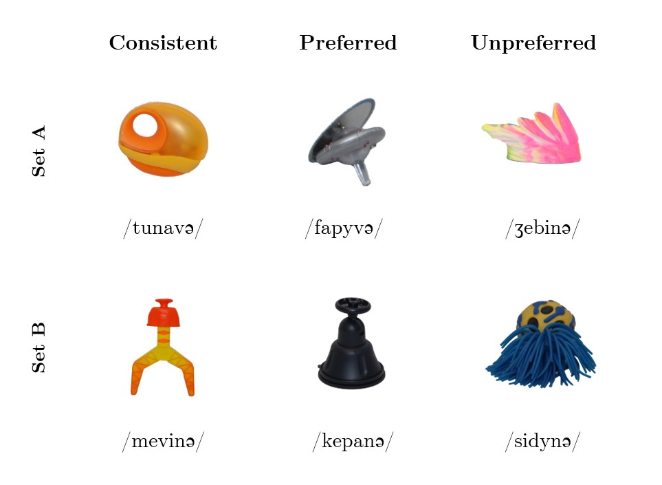 Novel Objects from Experiment 2. An example object from each set (set A and set B) and spelling group (Consistent, Preferred, and Unpreferred).