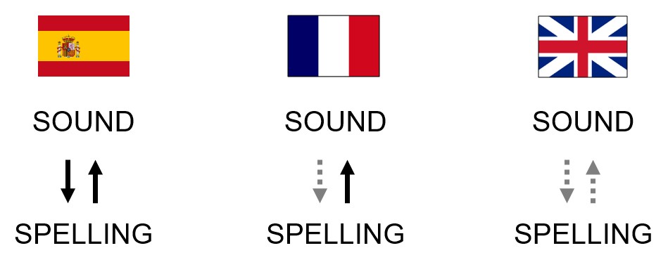Sound-to-Spelling and Spelling-to-Sound Mappings Across Languages. On a scale comprising both spelling-to-sound as well as sound-to-spelling (in)consistencies, French is situated between Spanish (double consistency) and English (double inconsistency), since it is (in)consistent in only one way.