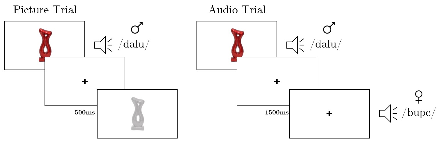 Trials of the Aural Training Blocks. The structure of the phonological training task. An example of a picture-word pair followed by a matching picture (on the left) and a picture-word pair followed by a mismatching word (on the right).