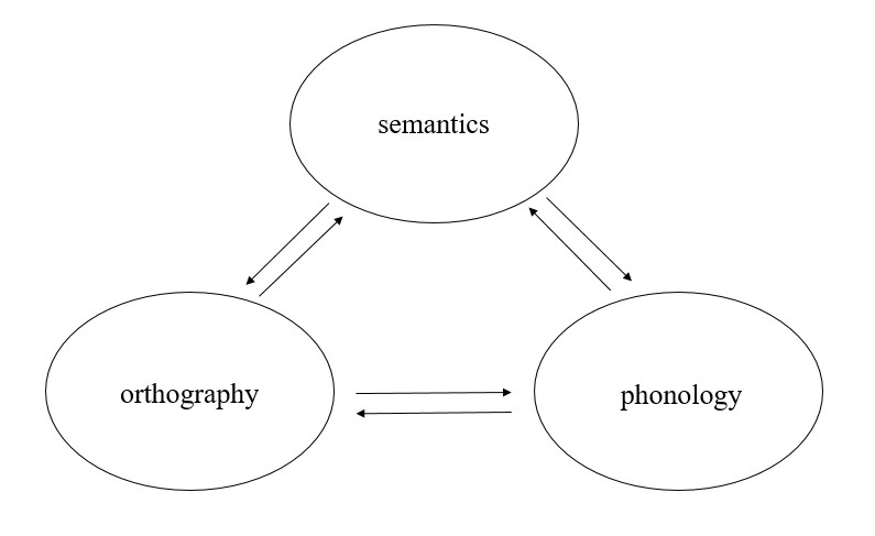 The Triangle Model of Word Reading. The triangle model of word reading adapted from Plaut, Seidenberg, McClelland, and Patterson (1996) assuming bi-directinal links between phonological, orthographic and semantic levels of representation.